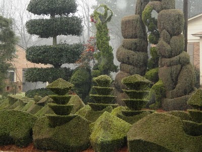 Pearl Fryar topiary Pearl Fryar topiary