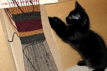 Weaving with kitten Weaving with kitten