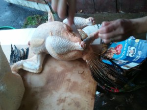 Cutting out the anal vent