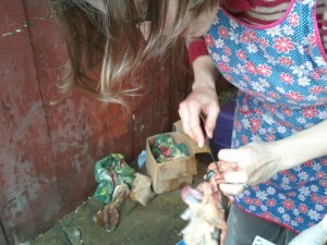 Removing the green thing from the liver