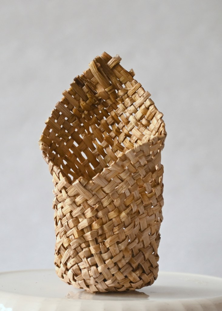 SOLD daffodil stem