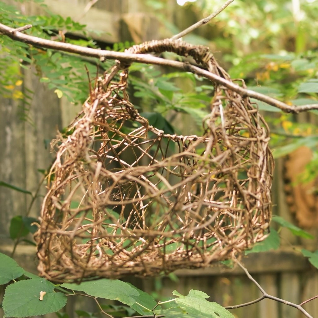 SOLD ivy