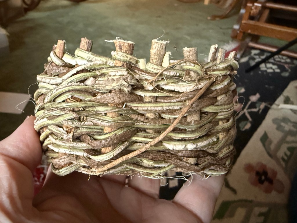 kudzu